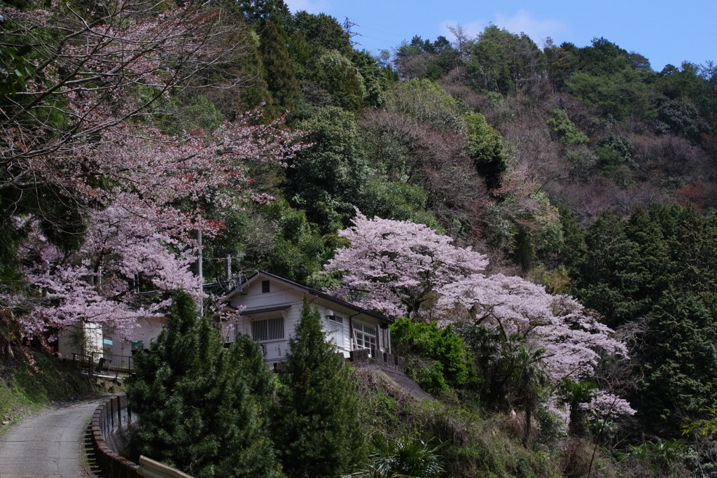 坂の上の駅