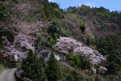 坂の上の駅