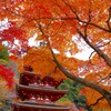 長谷寺を切り撮る　その四