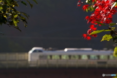 明と暗   1