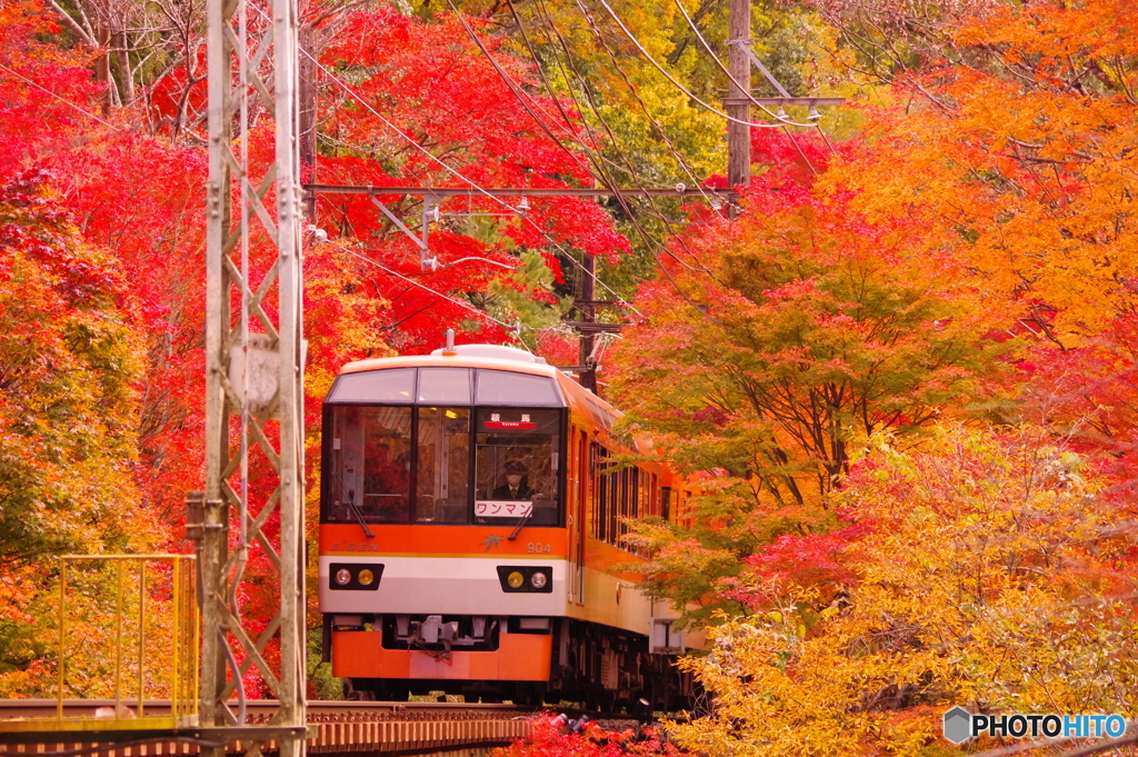 もみじのトンネルを抜けて