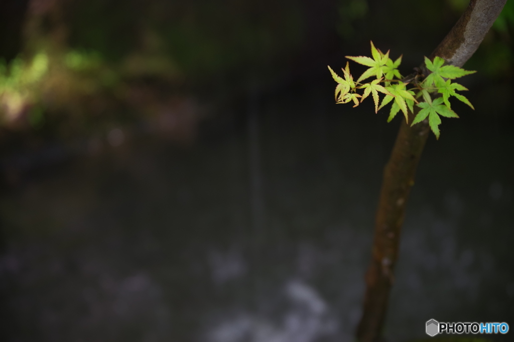 水の落ちる場所