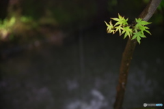 水の落ちる場所