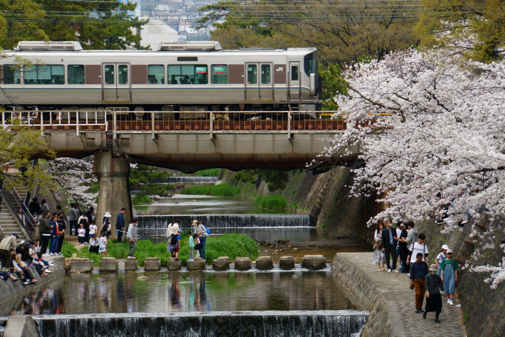 さくら夙川