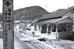 中井精也さんと同じ構図で撮った 中井精也さんと同じ構図で撮った