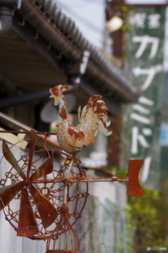 喫茶カザミドリ