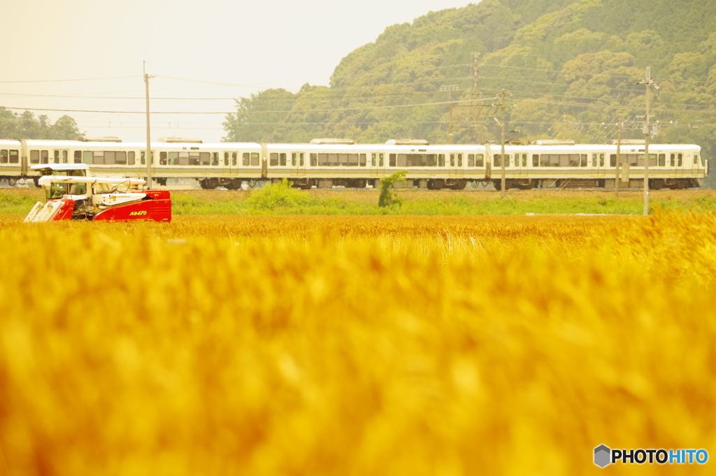 コンバインと共演