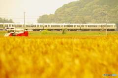 コンバインと共演