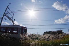 太陽とススキ