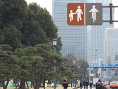 お上りさん紀行（皇居前）