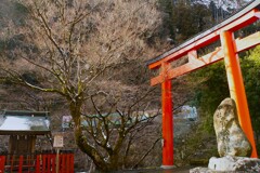 この時期だからこそ・・