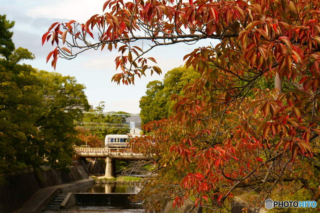 紅　始まる