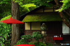 野点傘の風景