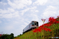 ローアングル（列車あり）