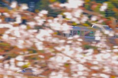 偶然撮れた！ダブル流し