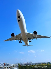 初　千里川土手