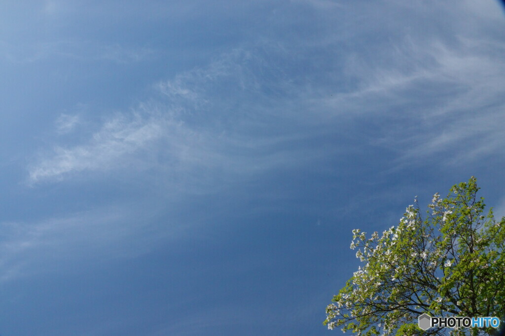 斜め構図で空を見上げる