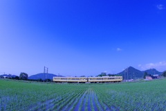 近江鉄道「水無月③」