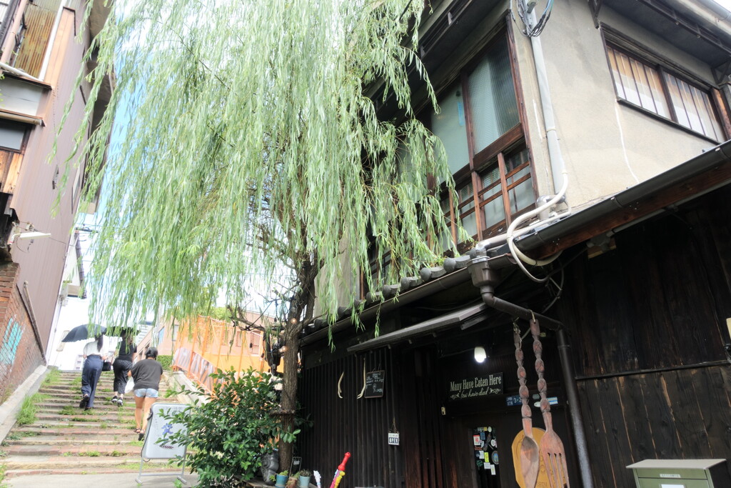 柳のあるお店でランチ