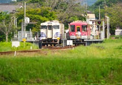 行き違い