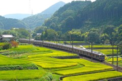 棚田　実りの頃