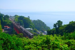 朝の相模湾