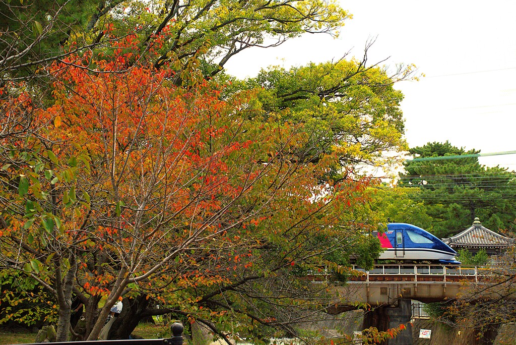 桜の名所にも秋が来た