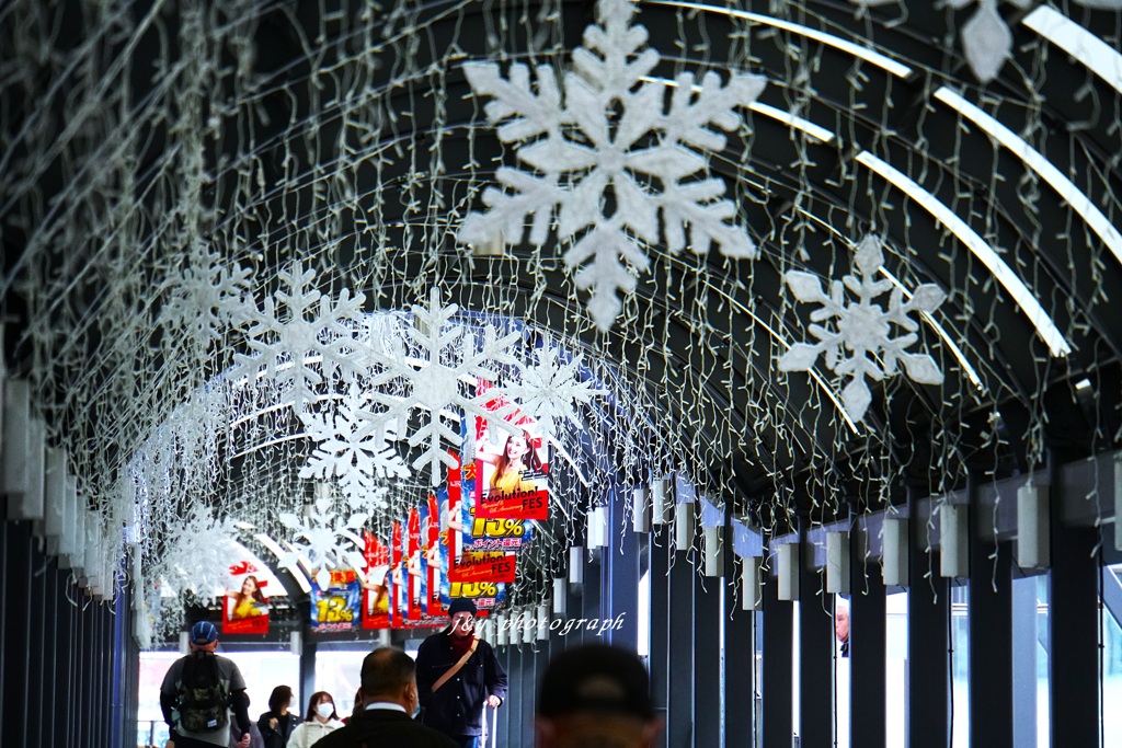 冬がやって来た