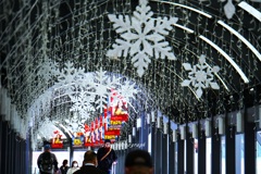 冬がやって来た