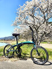 輪行の相棒ポートレート