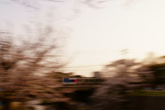 夙川夕景①