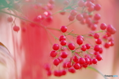 南天　＝　難転