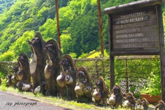 狸が守る駅