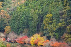 紅葉並木