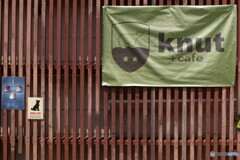 シロクマと犬