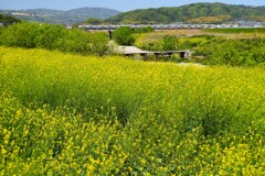 沈下橋と鉄道の風景