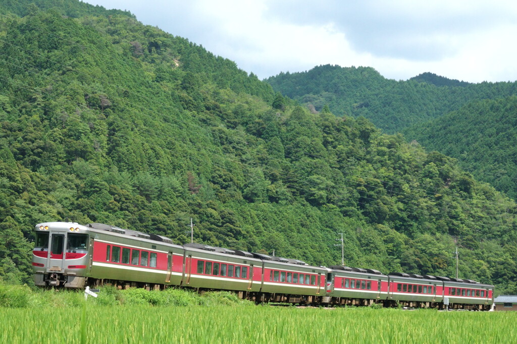 里山を行く特急「はまかぜ」