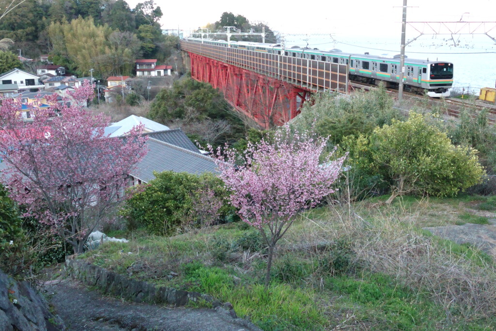 花と赤い鉄橋