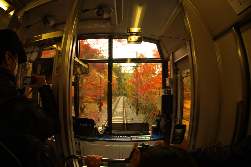 シャッターチャンス➁