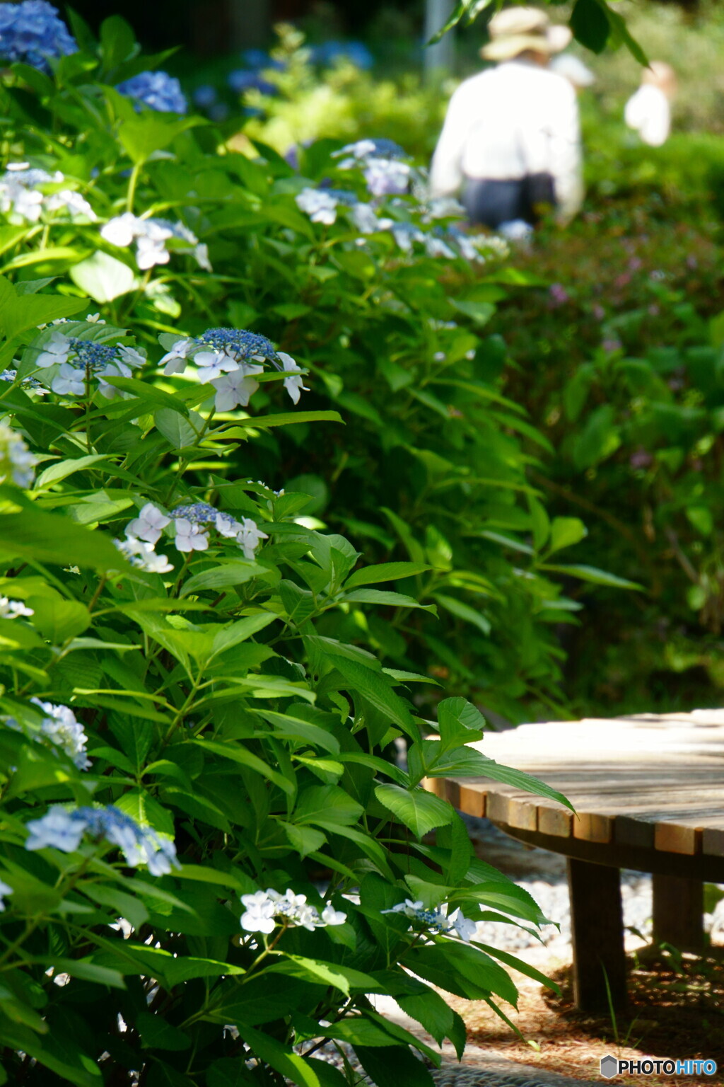 ベンチのある風景