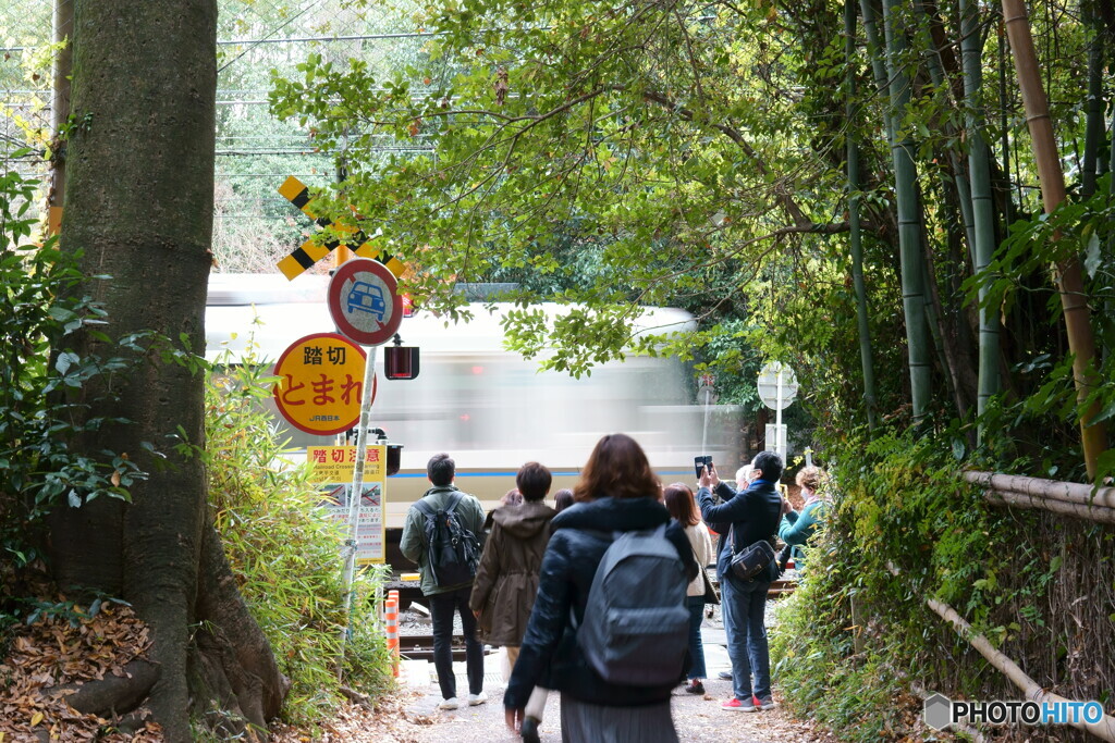 電車撮れましたか？