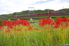 火の花と火の鳥