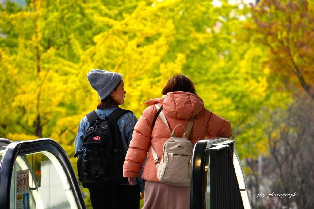 街が色付いていた頃