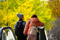 街が色付いていた頃