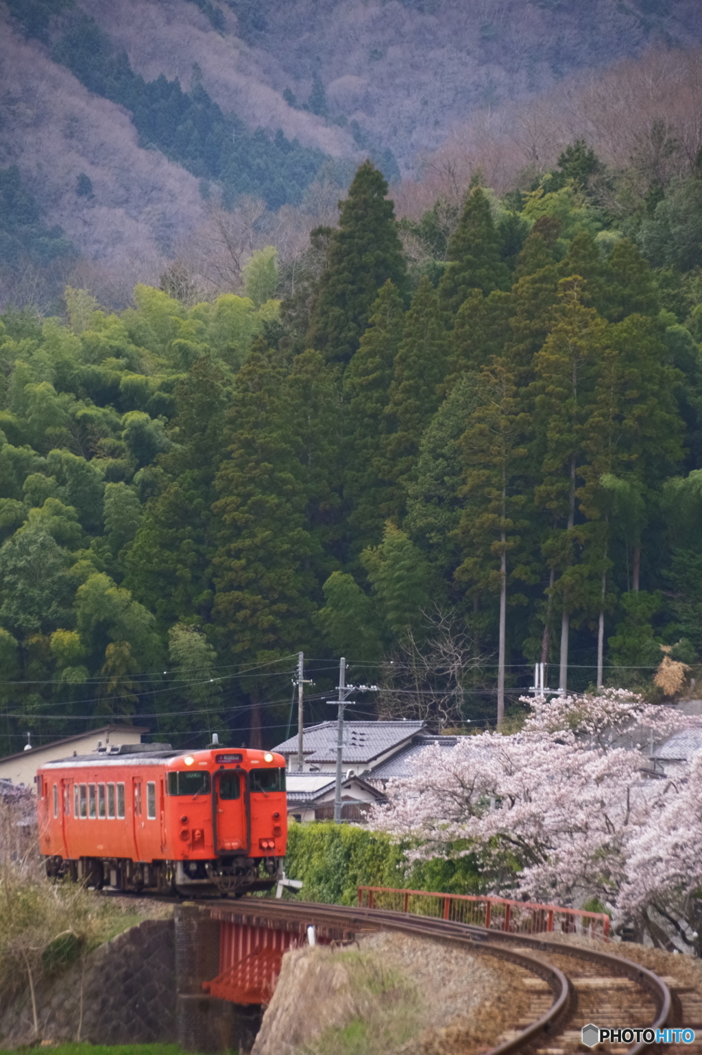 和田山の春