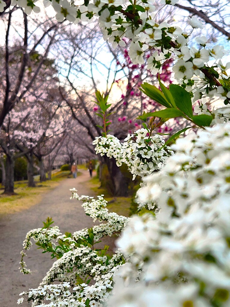 今日から４月