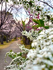 今日から４月