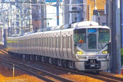 225の日