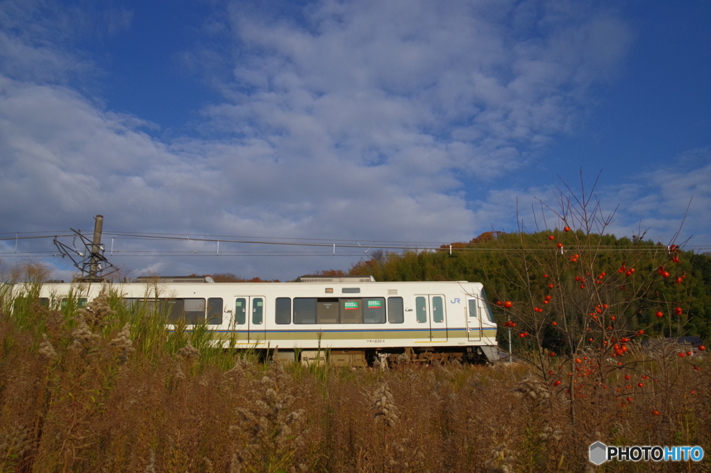 鉄道風景　初冬