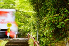 緑に囲まれた踏切